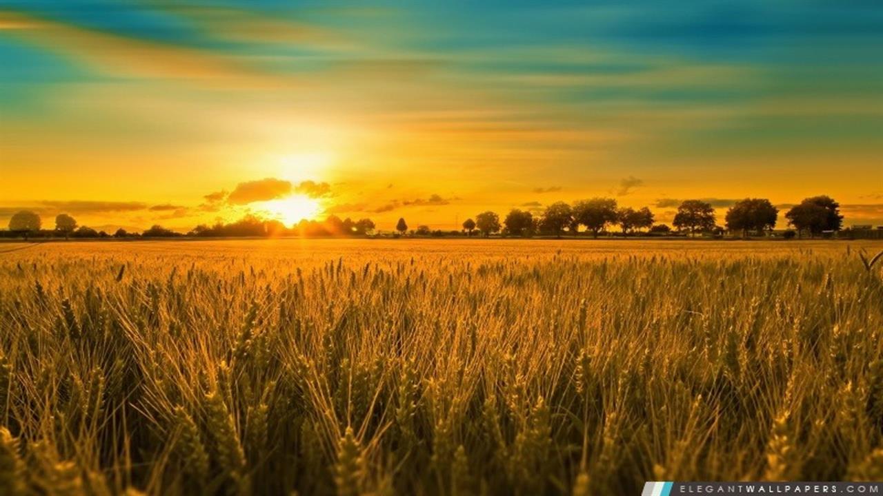 Photo 968578